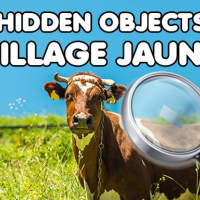Hidden Objects Village Jaunt