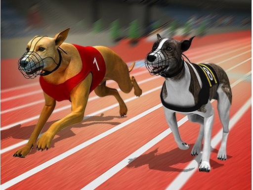 Racing Dog Simulator : Crazy Dog Racing Games Online